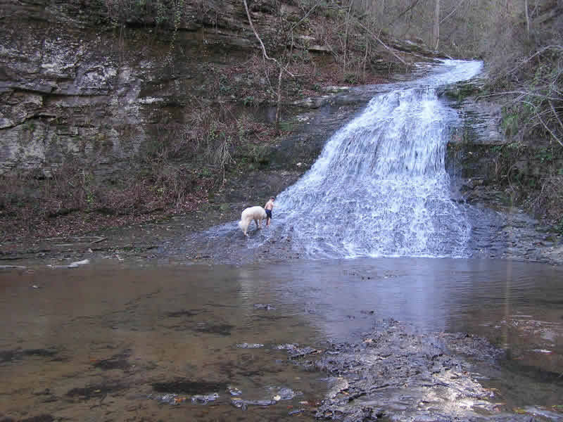 Cole and Carter investigate waterfall